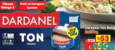 DARDANEL TON BALIĞI 2X170 G